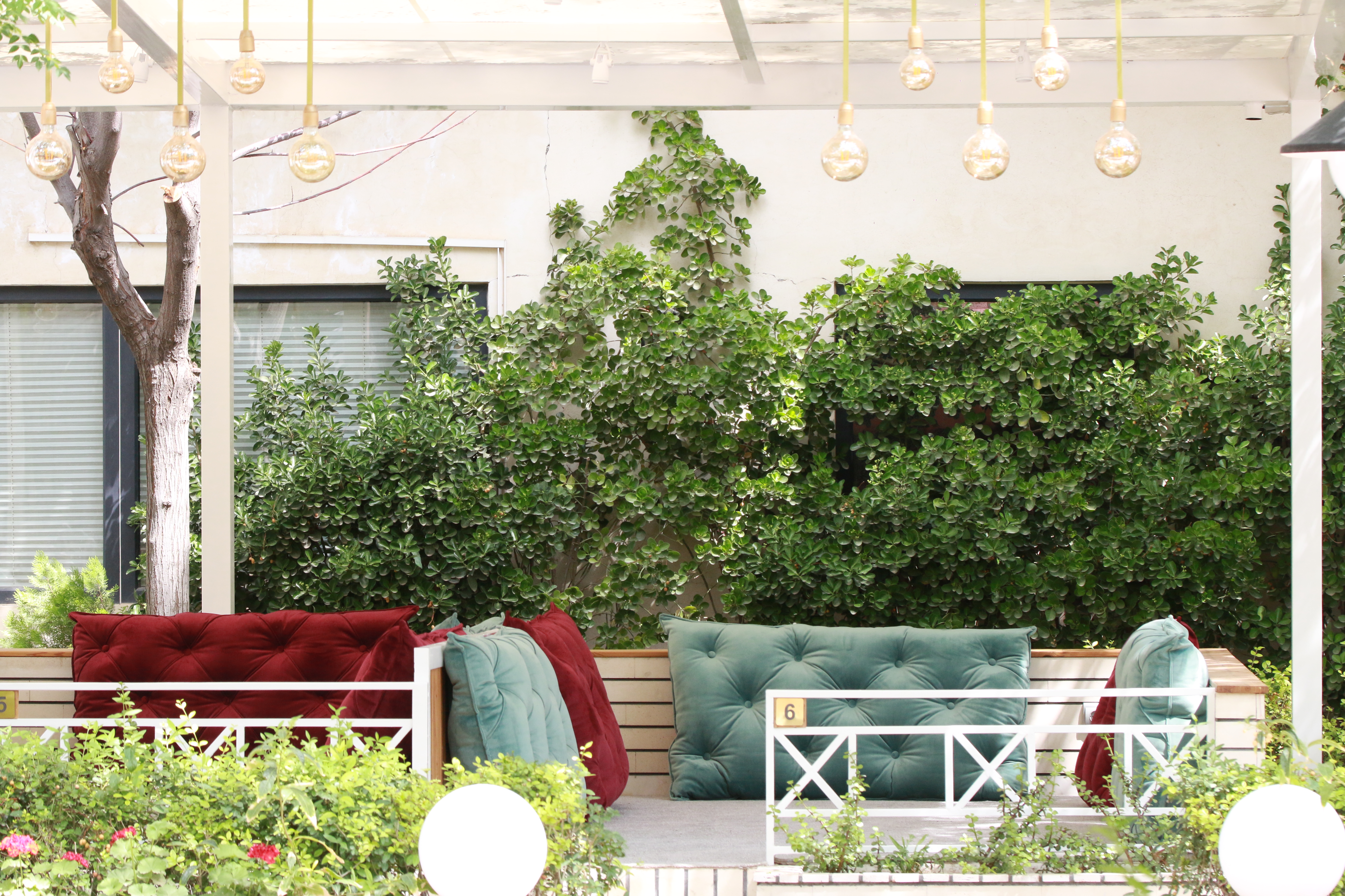 روز درختکاری